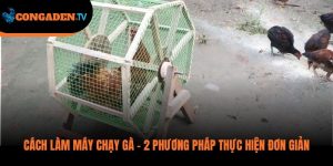 cách làm máy chạy gà chọi
