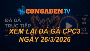 XEM LẠI ĐÁ GÀ CPC3 NGÀY 26/3/26