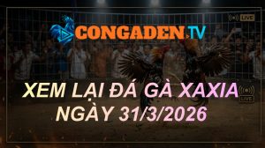 XEM LẠI ĐÁ GÀ XAXIA NGÀY 31/3/26
