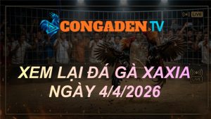 XEM LẠI ĐÁ GÀ XAXIA NGÀY 4/4/26