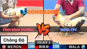 TRẬN 2 CPC3 NGÀY 25/5/2026